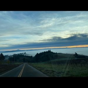 Meet your Posher, Alexsaundria